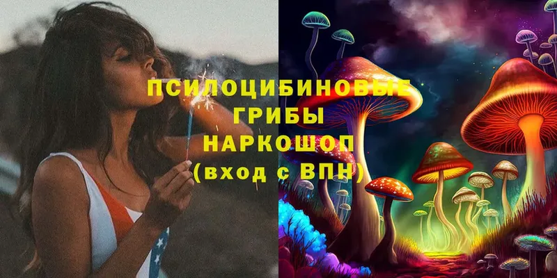 Псилоцибиновые грибы Magic Shrooms  Долинск 